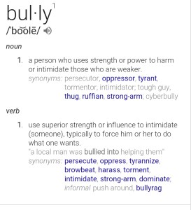 bully definition