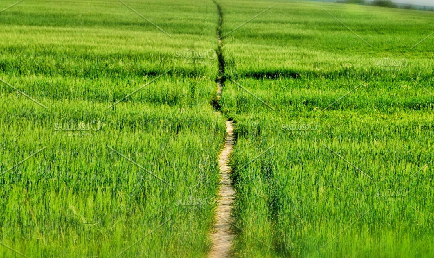 PicsArt_04-28-11.28.22